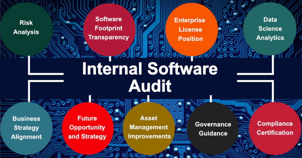 BLC Provides an Internal Software Audit Service